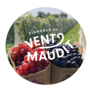 Vignoble du Vent Maudit